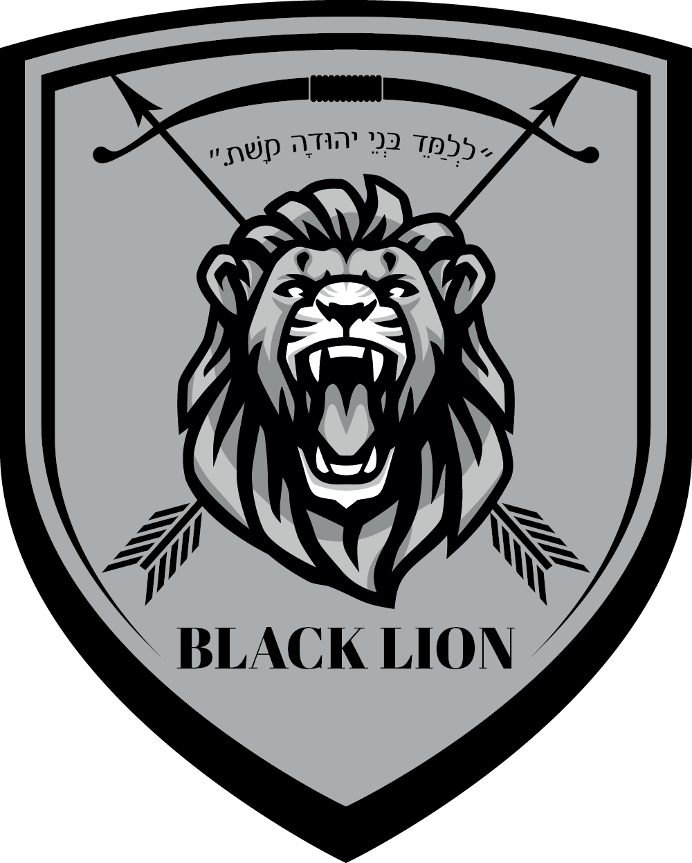 Black Lion Services